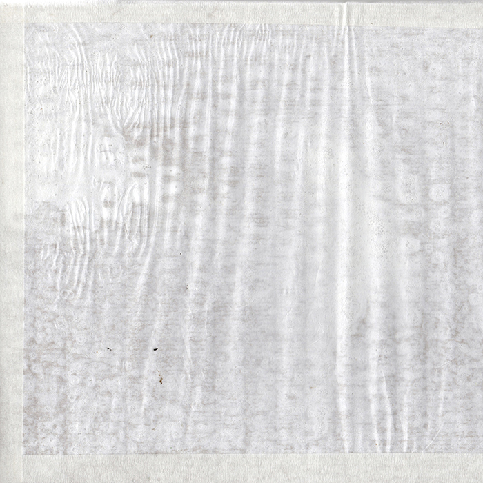 imagen 22. chapman expo